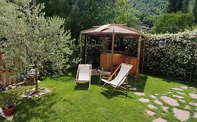 Umbria Valnerina , Il TARTUFFO, sulla via di Francesco